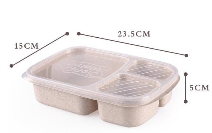 Squire Office Lunch Box.jpg