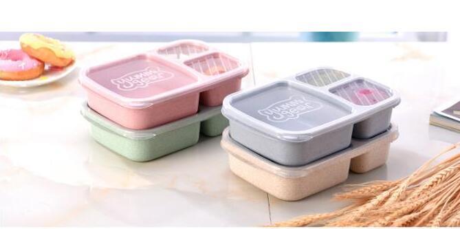 Squire School Lunch Box.jpg