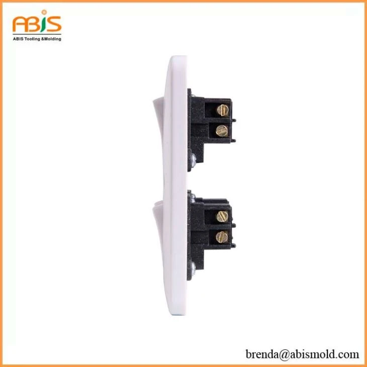 Switch plastic Injection mold